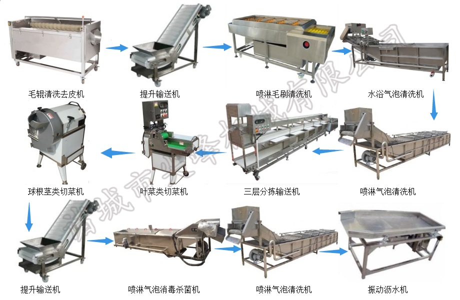 鮮切凈菜加工設(shè)備